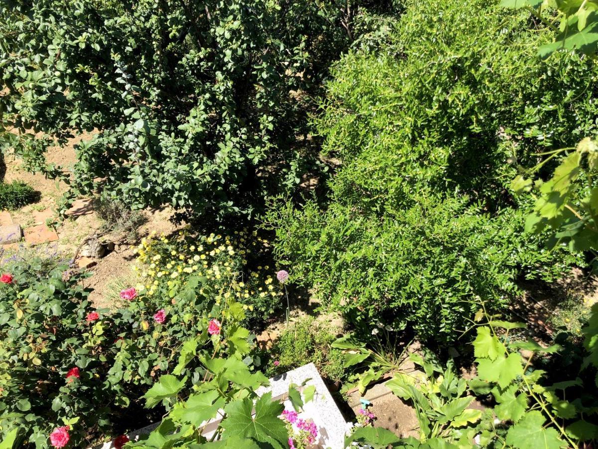 Villy City Apartment Palit Dış mekan fotoğraf